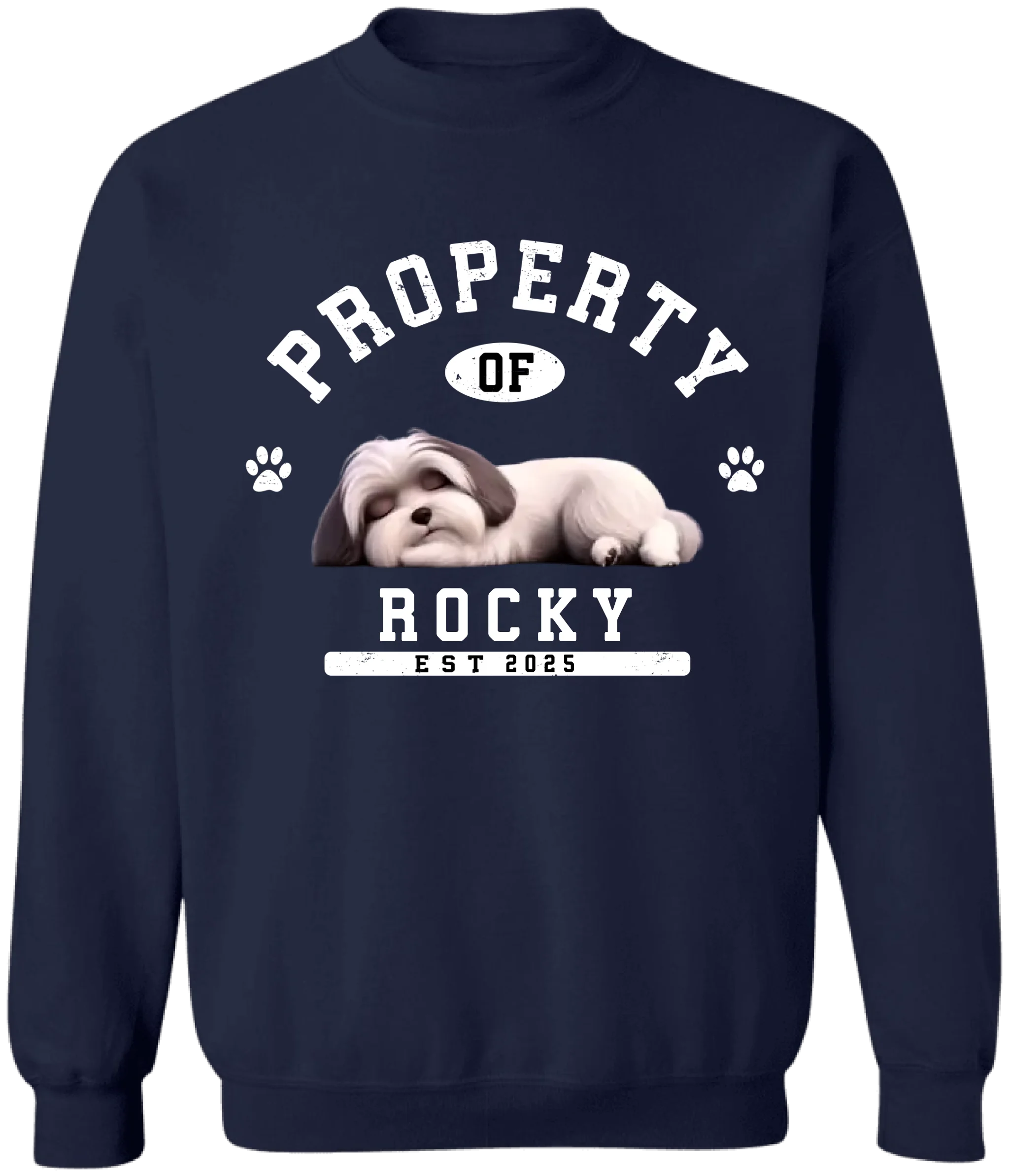 Custom Funny Dog Property - Personalized T-Shirt, Gift for Dog Owner, Dog Mom/Dog Dad Gift