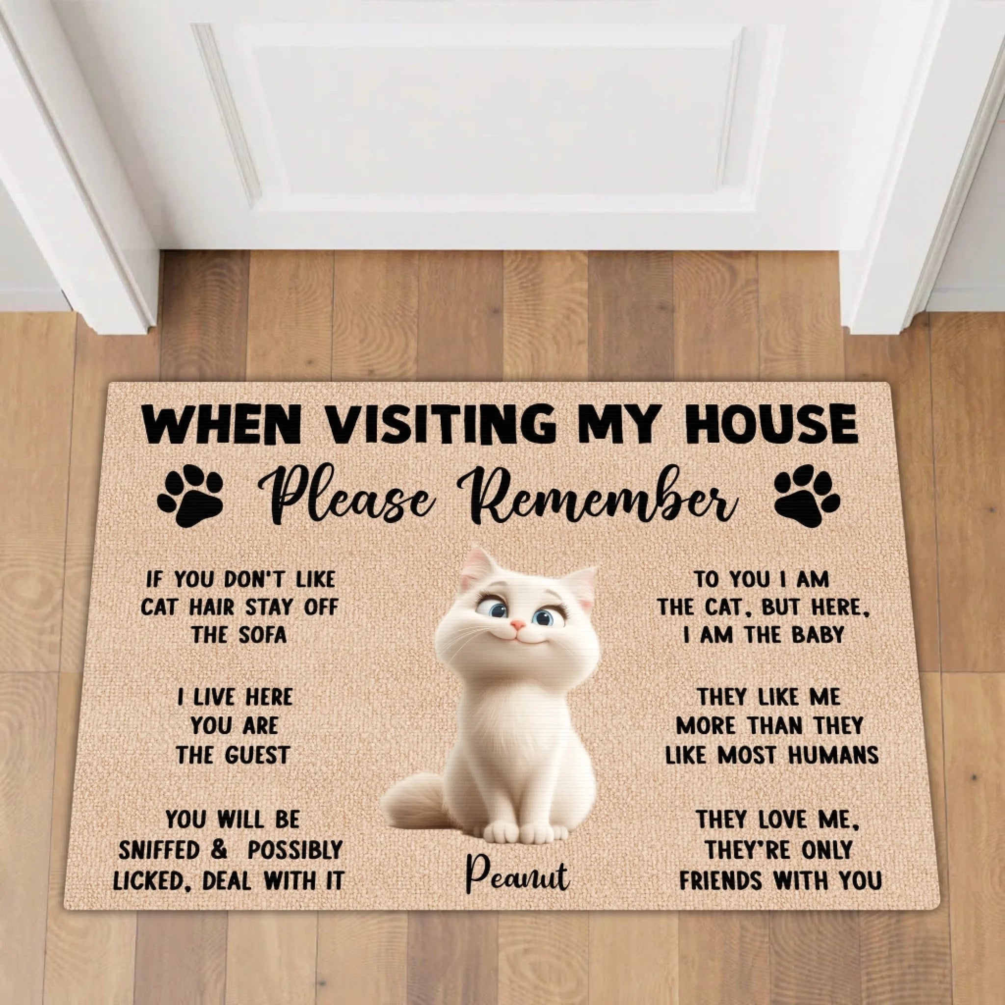 Please Remember When Visiting Cats House mk 1