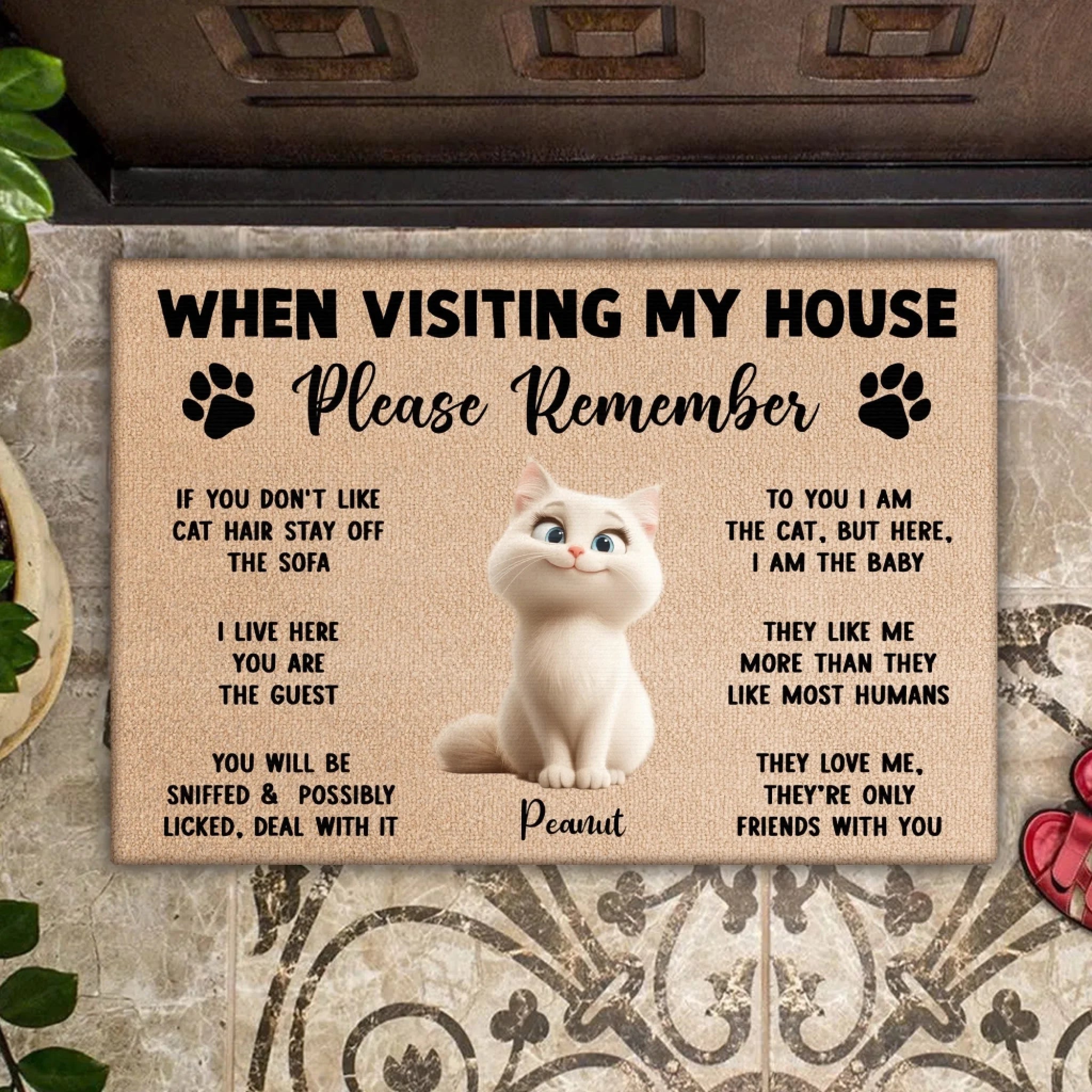 Please Remember When Visiting Cats House mk 5