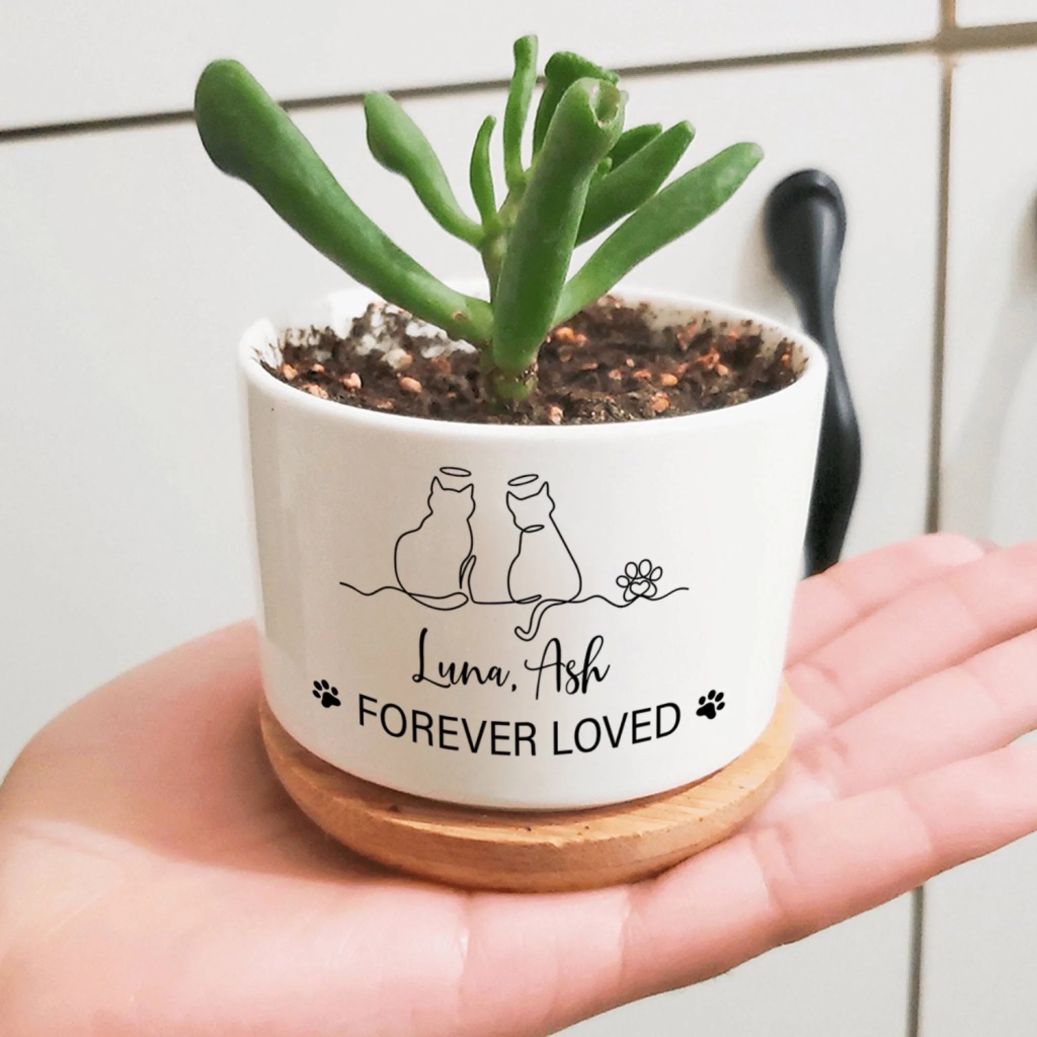 Forever Loved Cat mk 2