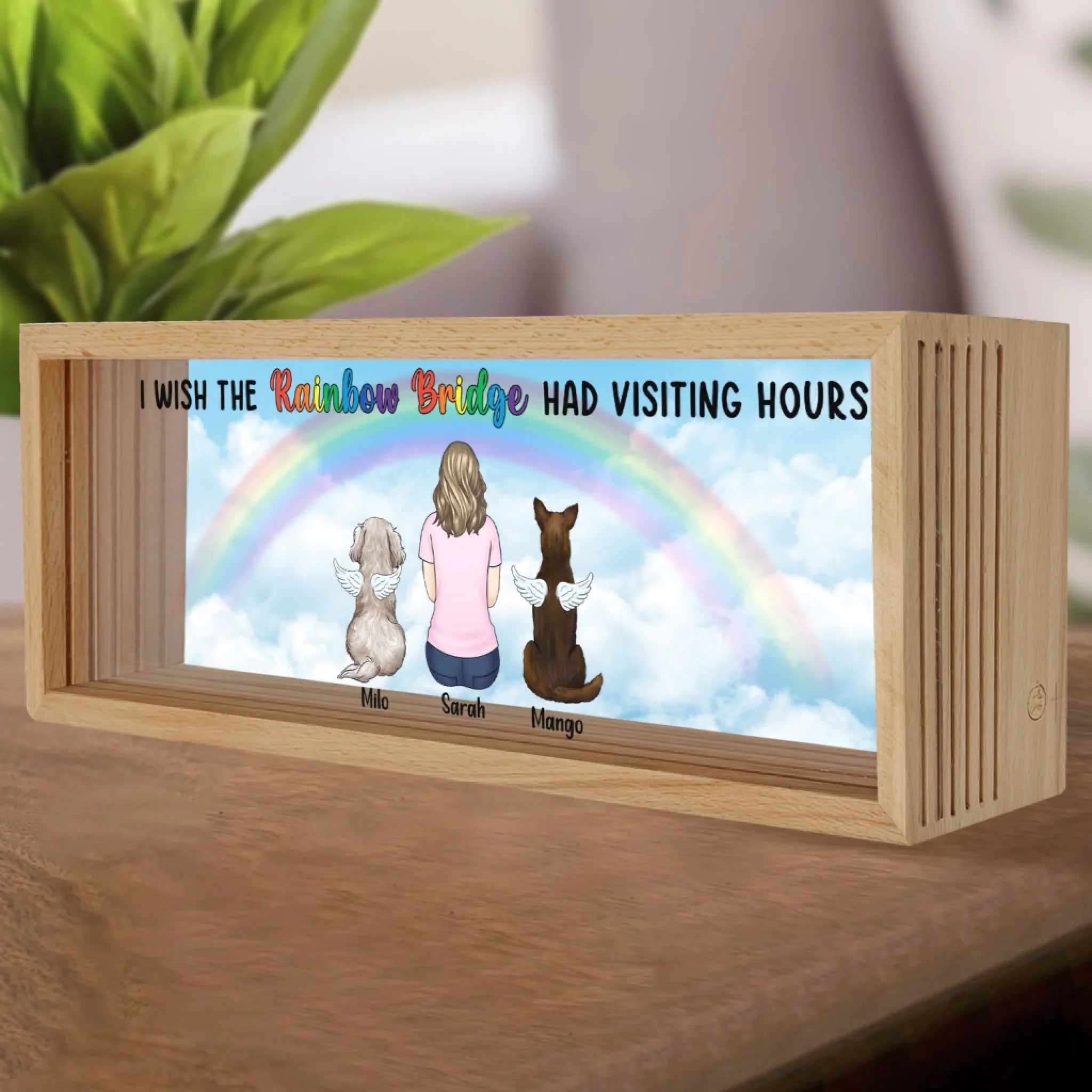 The Rainbow Bridge Had Visiting Hours mk 3