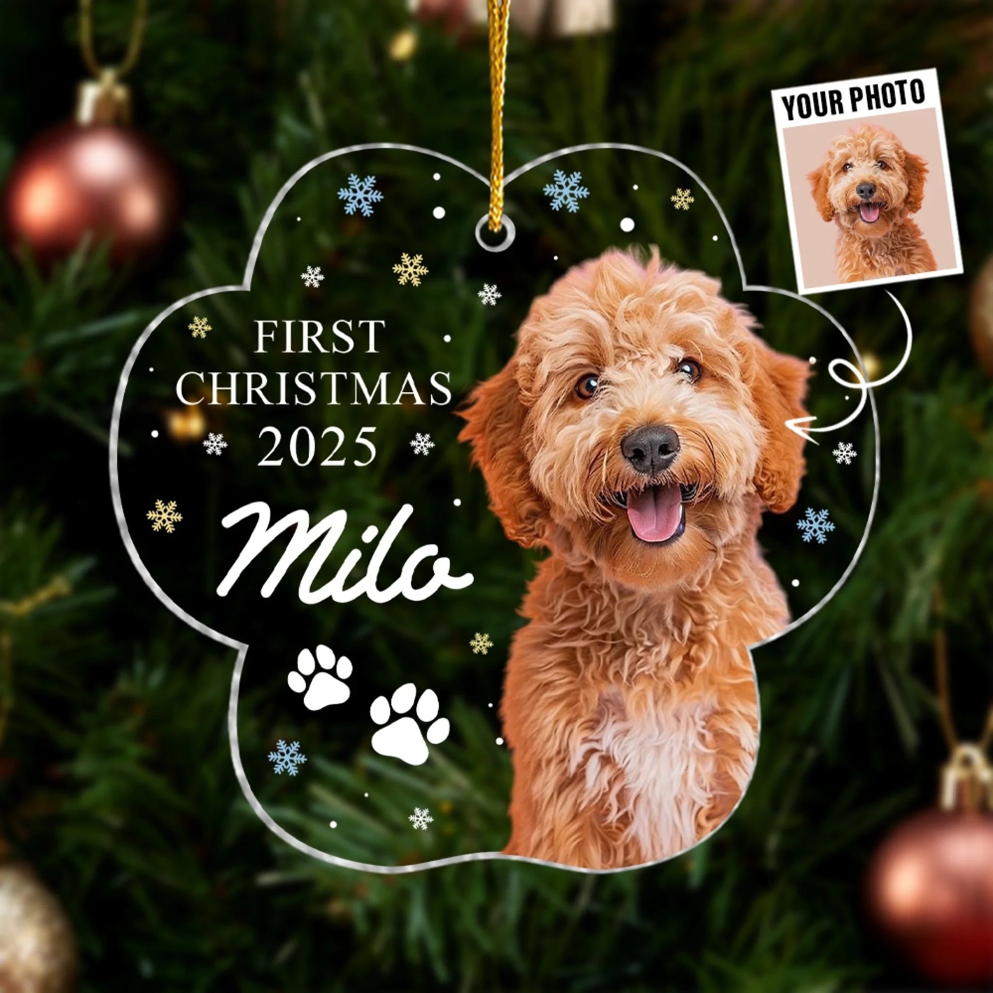 Our Fur Babies First Christmas - Personalized Acrylic Ornament, Gift For Pet Lovers