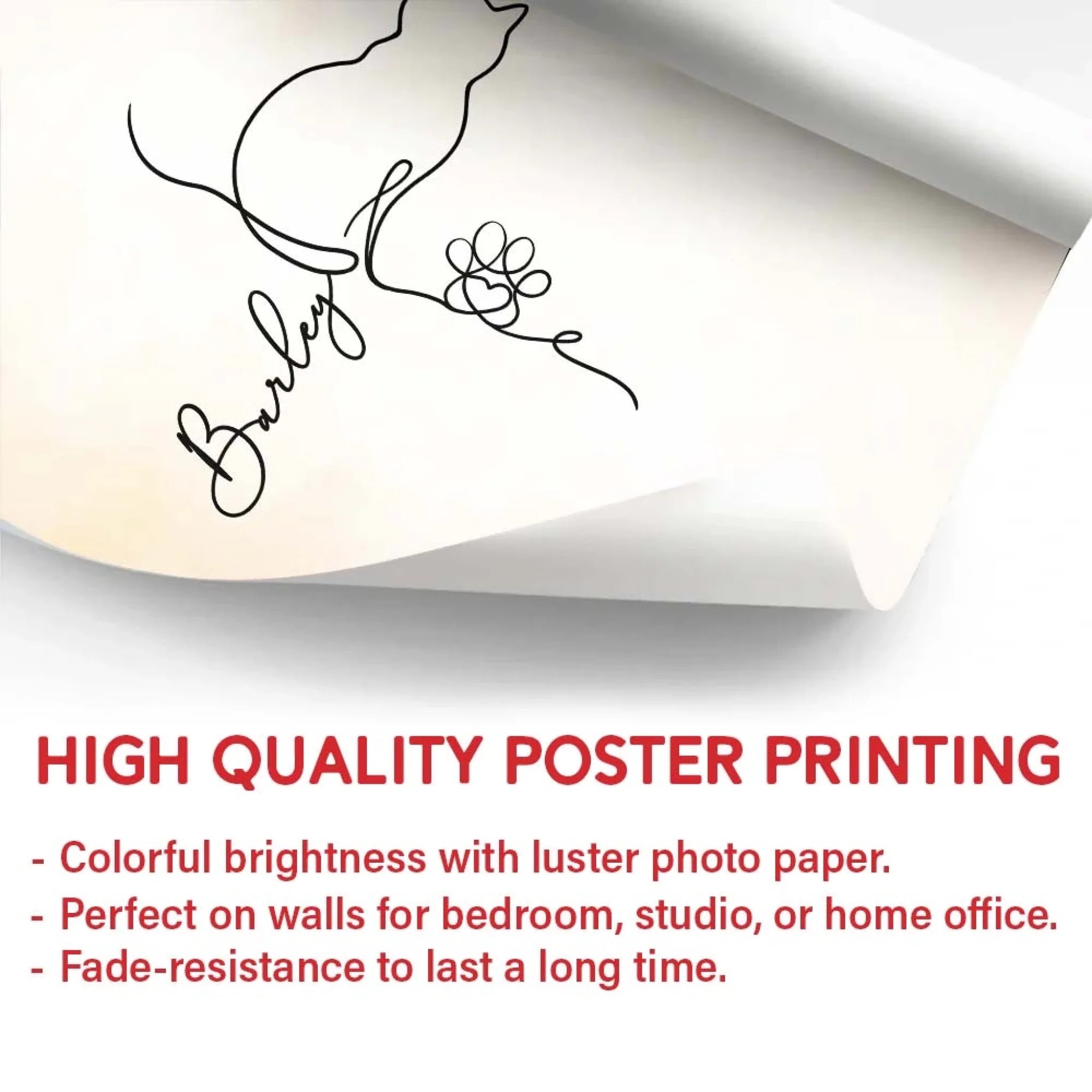 20250926-113339 copy