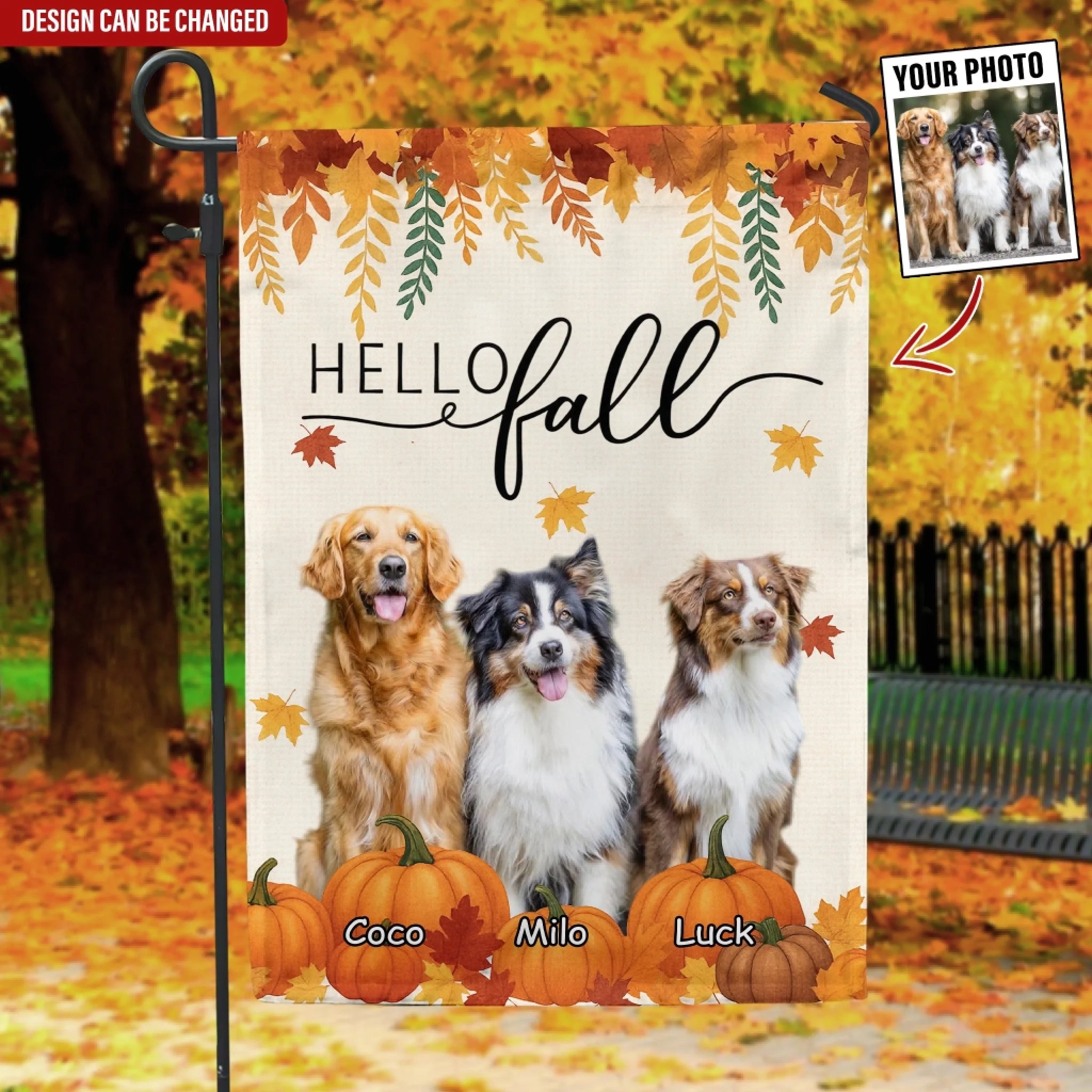Pumpkin Patch Dog Autumn mk ads