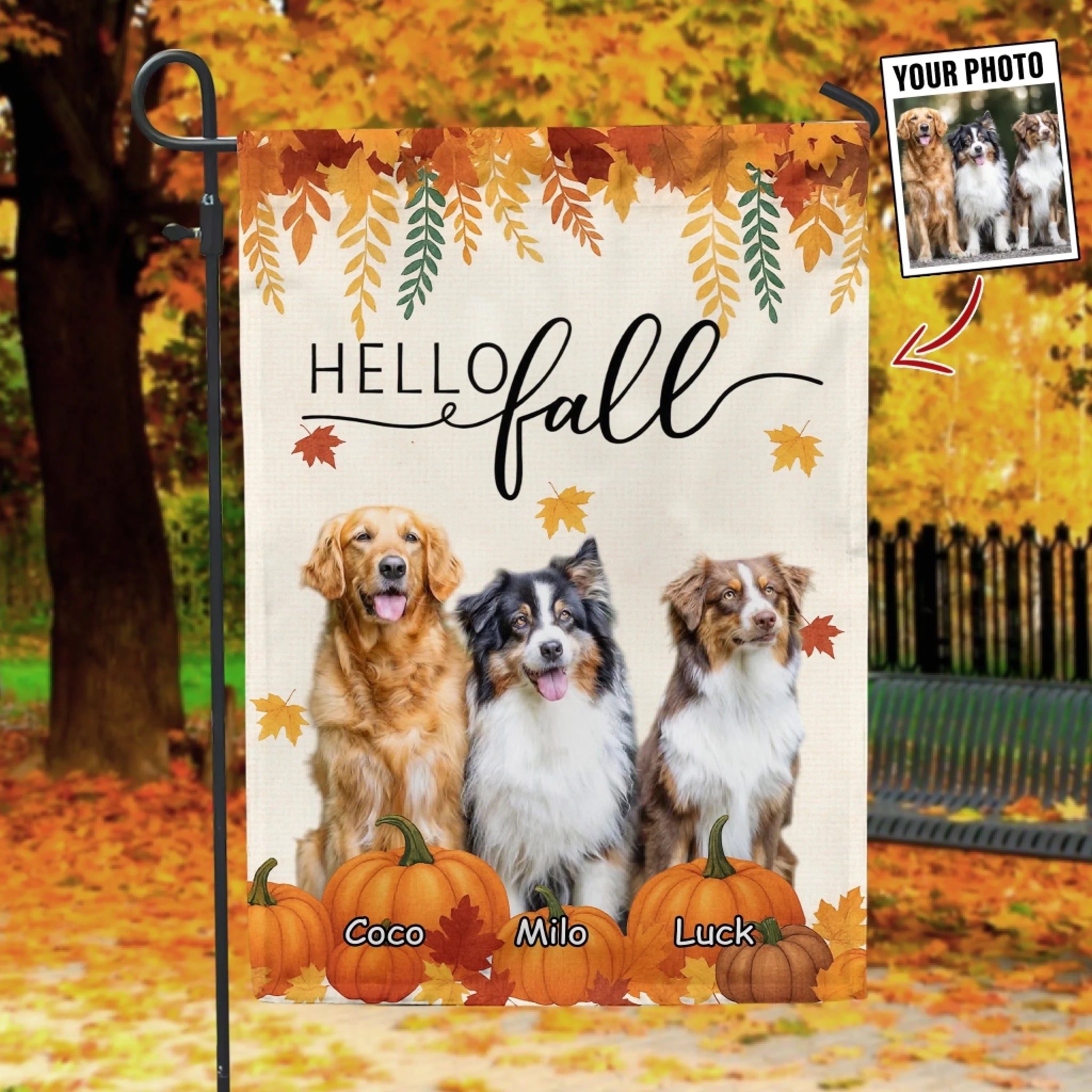 Pumpkin Patch Dog Autumn mk 1