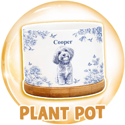 Plant Pot