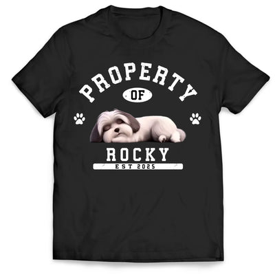 Custom Funny Dog Property - Personalized T-Shirt, Gift for Dog Owner, Dog Mom/Dog Dad Gift