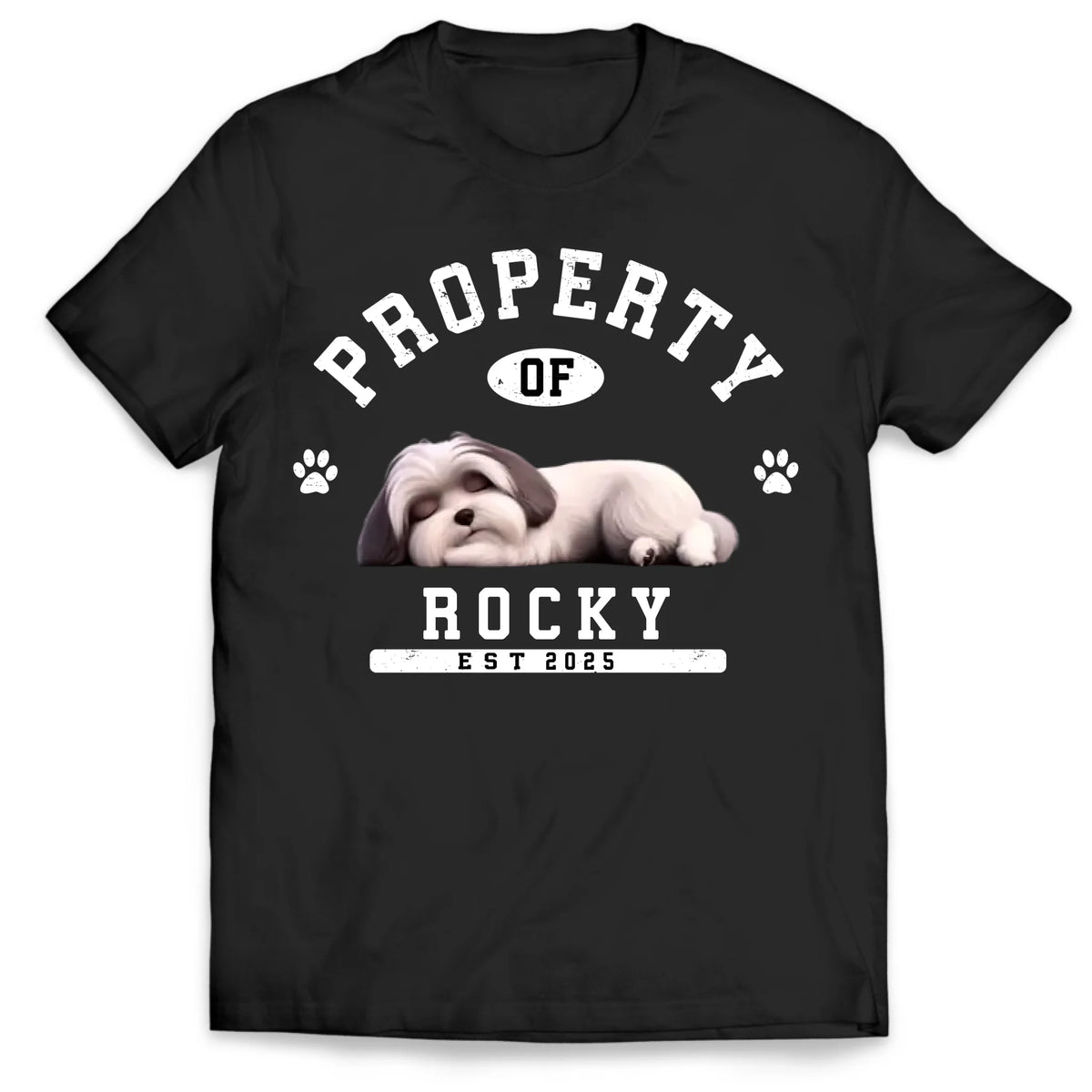 Custom Funny Dog Property - Personalized T-Shirt, Gift for Dog Owner, Dog Mom/Dog Dad Gift