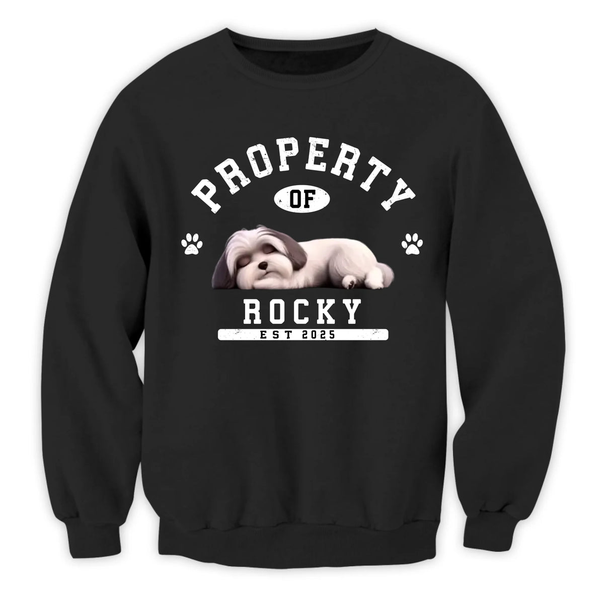 Custom Funny Dog Property - Personalized T-Shirt, Gift for Dog Owner, Dog Mom/Dog Dad Gift