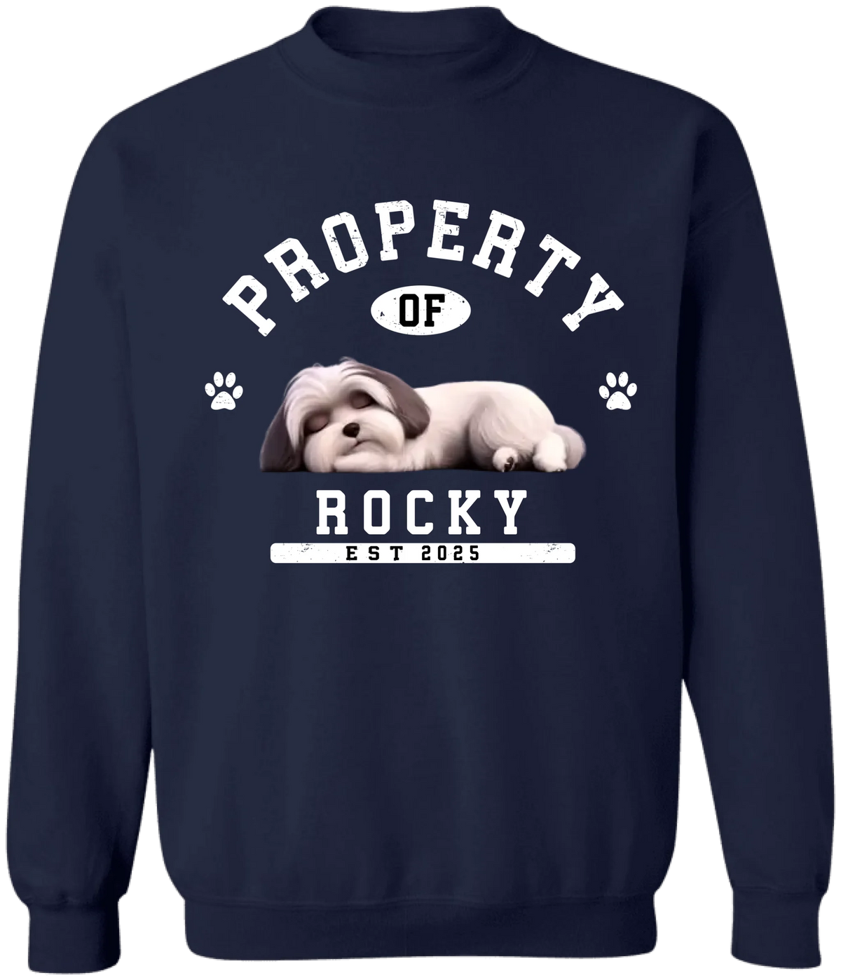 Custom Funny Dog Property - Personalized T-Shirt, Gift for Dog Owner, Dog Mom/Dog Dad Gift