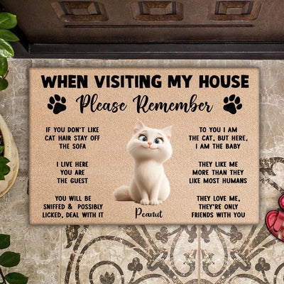 Please Remember When Visiting Cats House mk 5