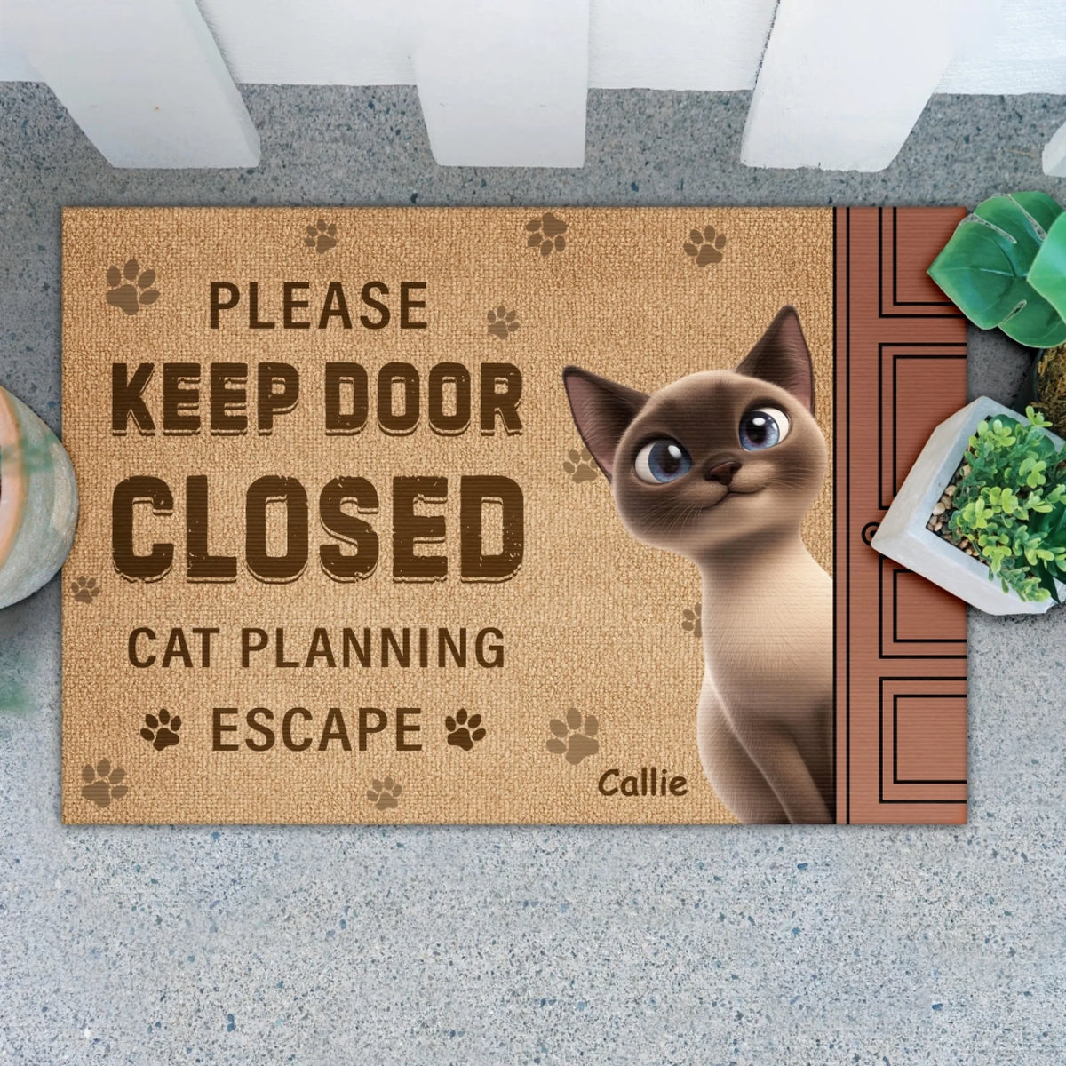 Please Keep Door Closed Cats Planning Escape mk 1