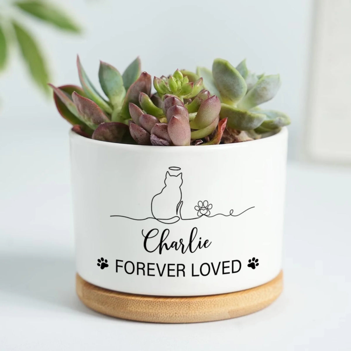 Forever Loved Cat mk 5