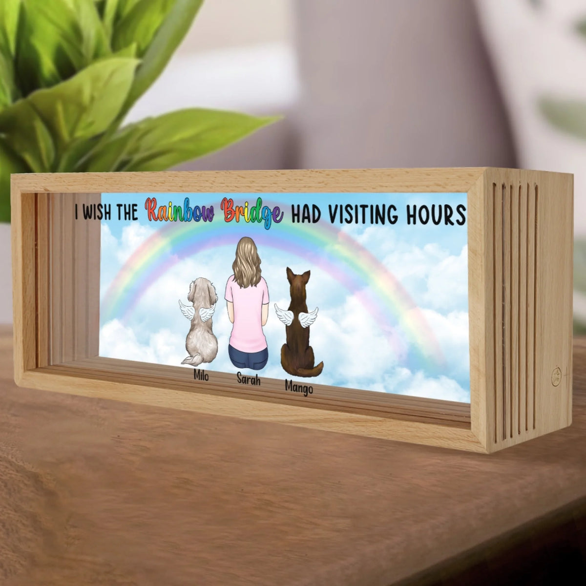 The Rainbow Bridge Had Visiting Hours mk 3