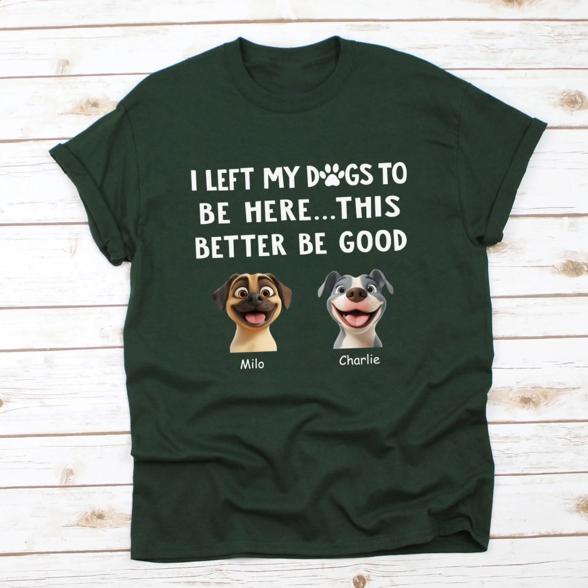 I eft my dogs to be here...this better be good mk 6