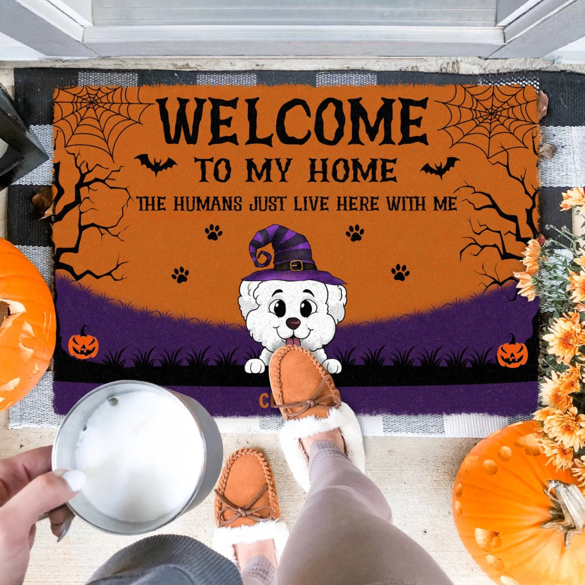 Welcome To Our Home, The Humans Just Live Here With Us mk 3