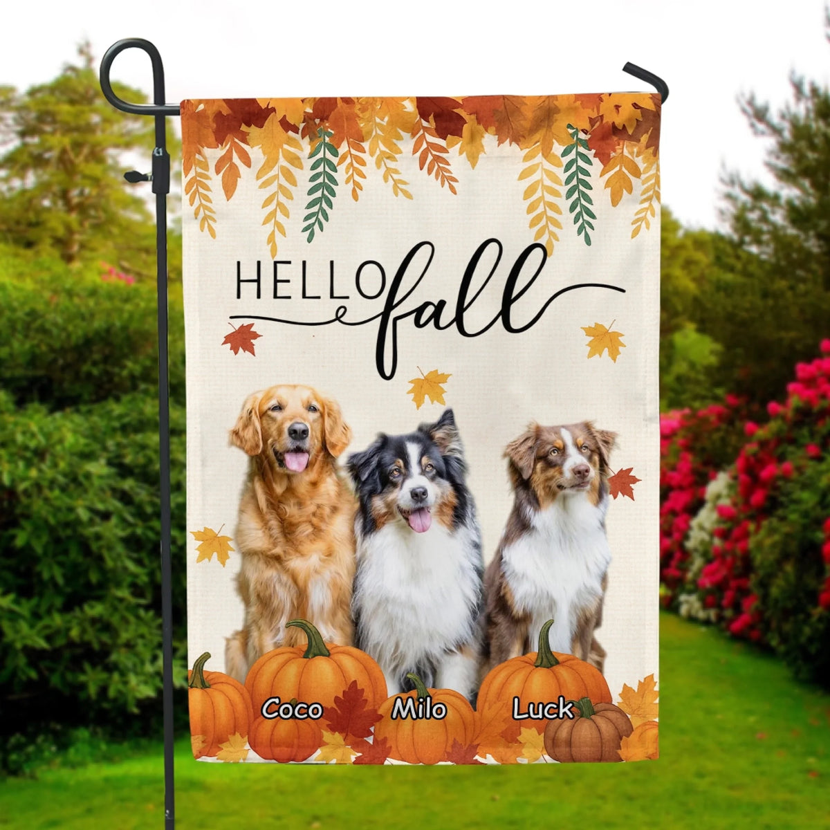 Pumpkin Patch Dog Autumn mk 4