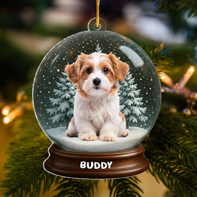 Capture Your Pet In A Winter Wonderland mk 2
