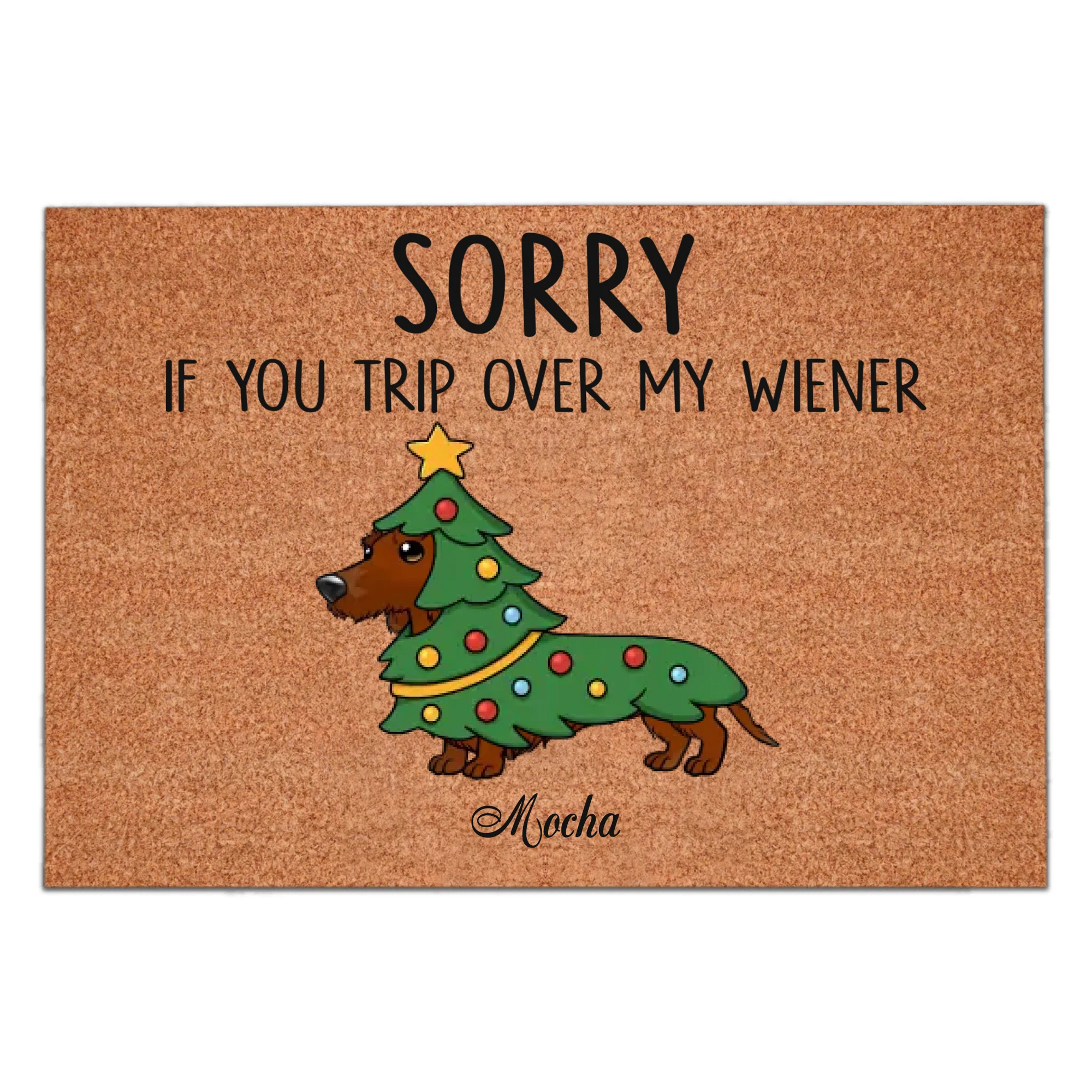 Wipe Your Paws And Watch Your Step - Personalized Doormat, Funny Dachshund Doormat, Humorous Dog Lover Housewarming Gift