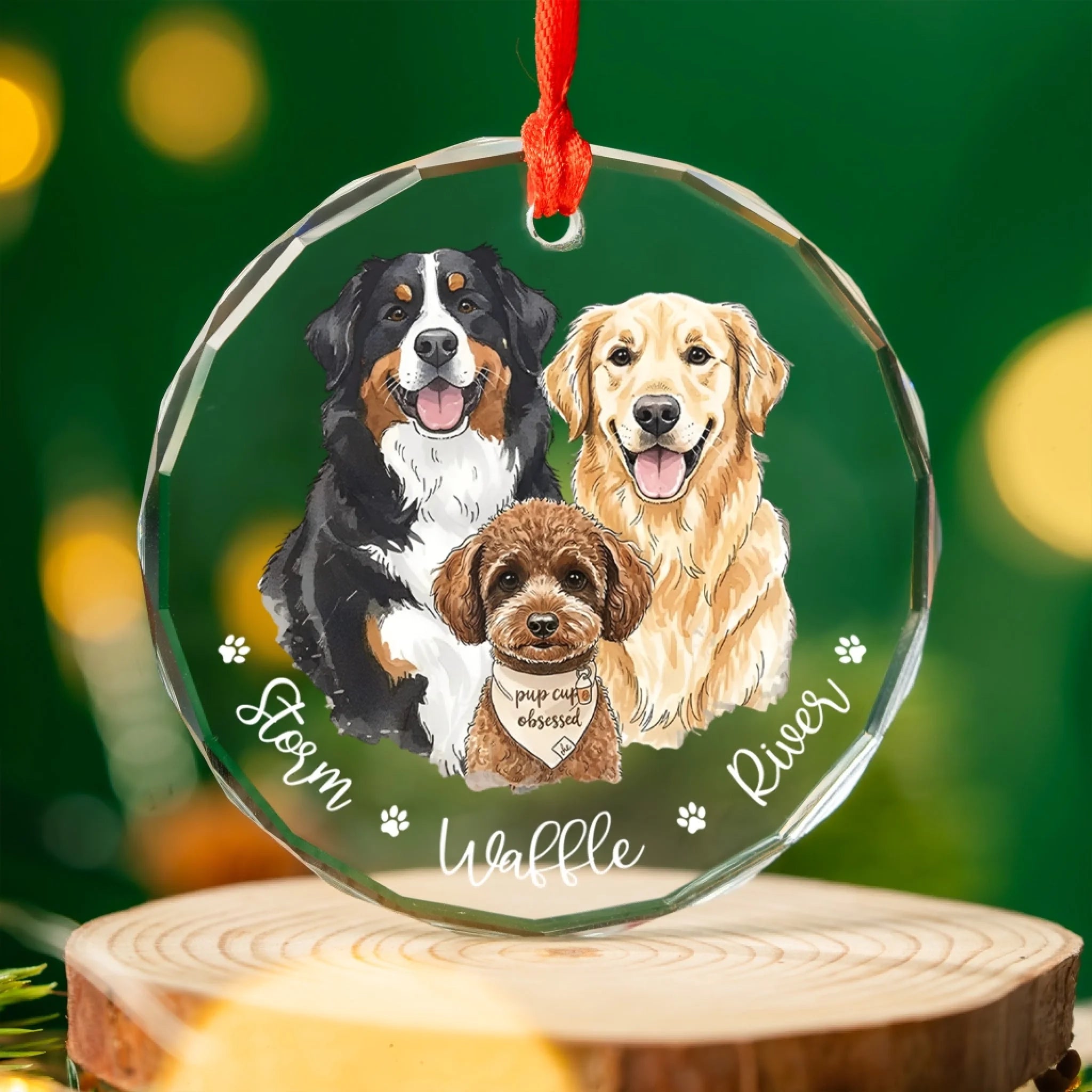 Home Is Where The Paws Are mk 2