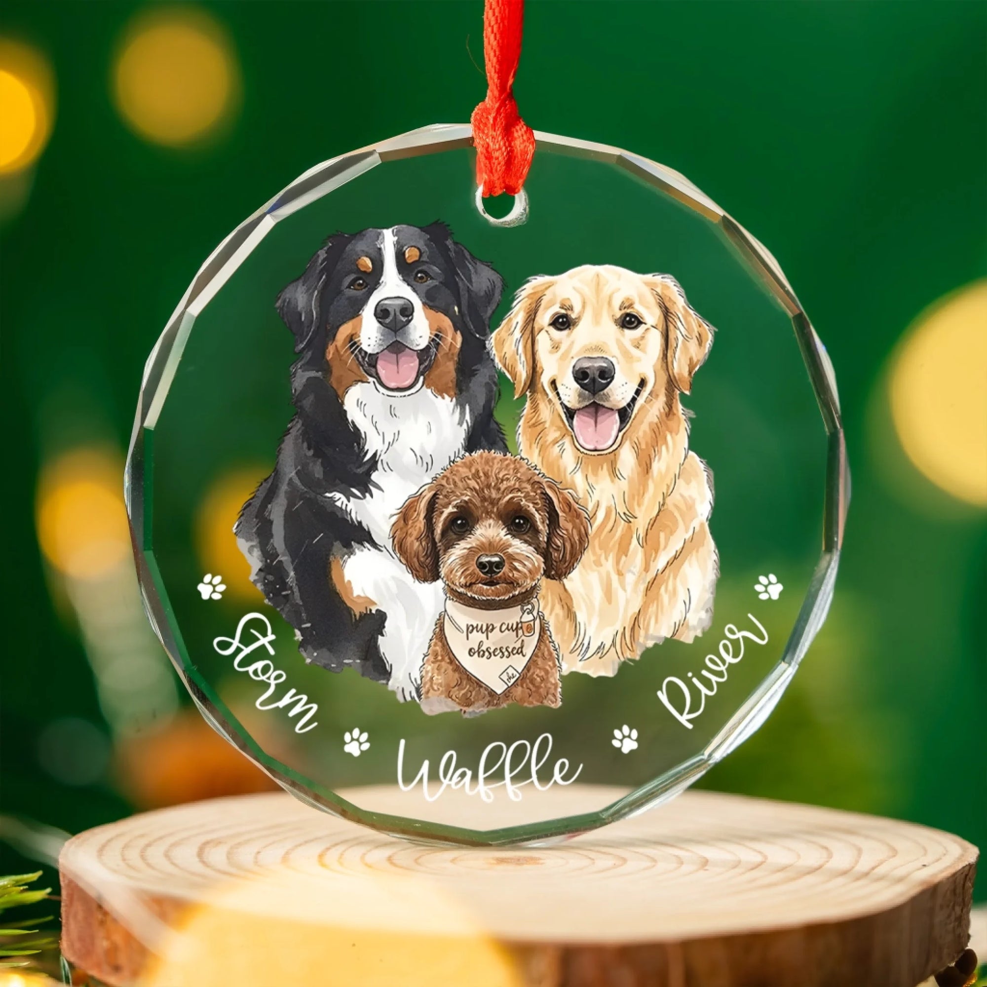 Home Is Where The Paws Are mk 2