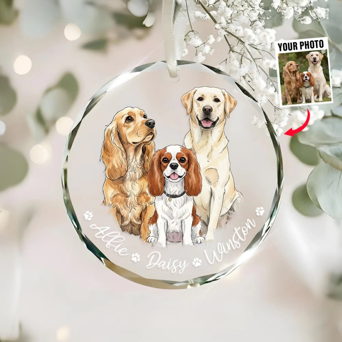 Home Is Where The Paws Are mk 1