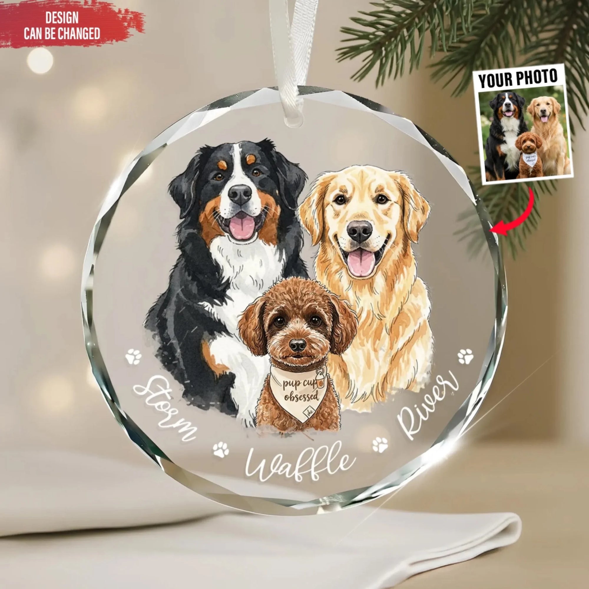 Home Is Where The Paws Are mk ads