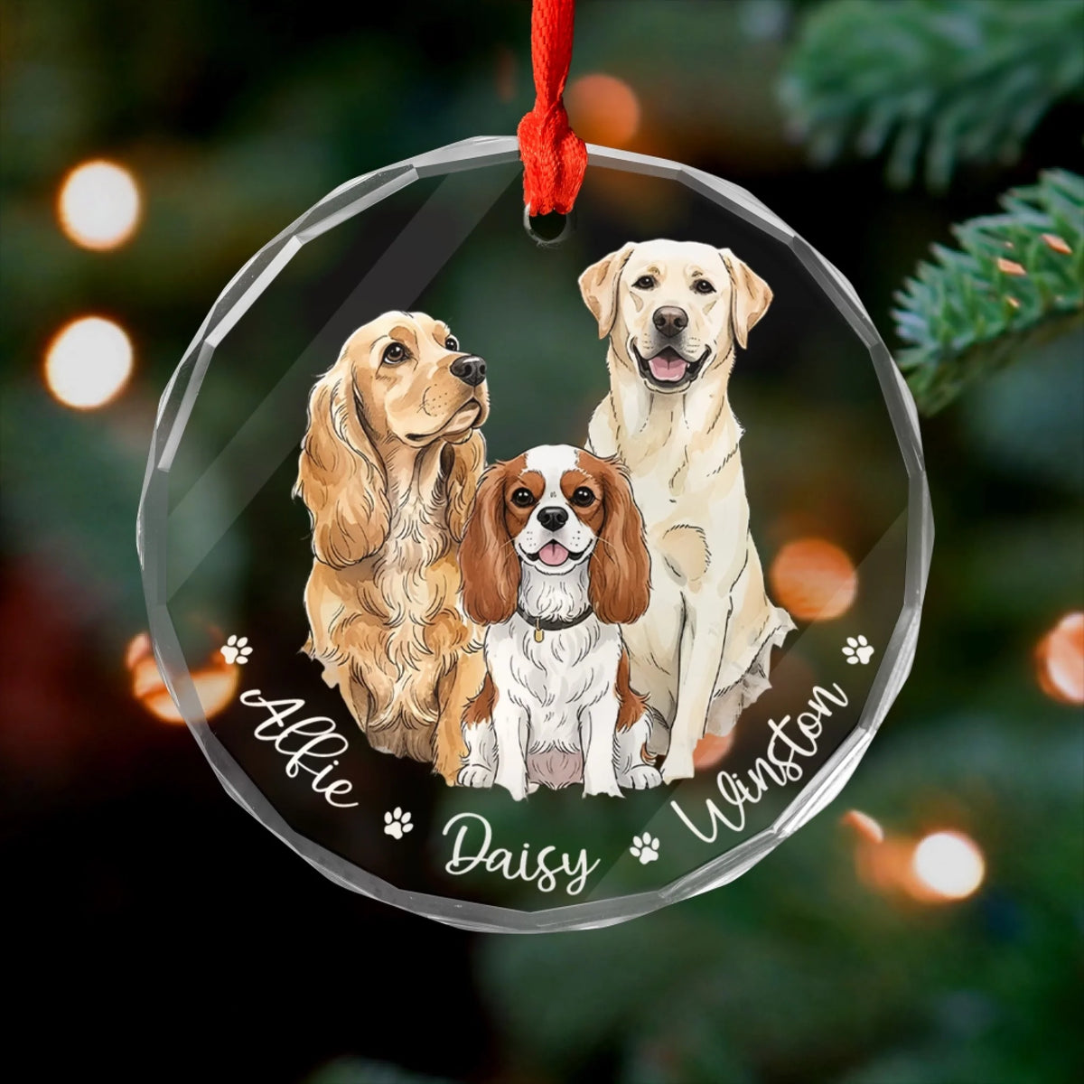 Home Is Where The Paws Are mk preview