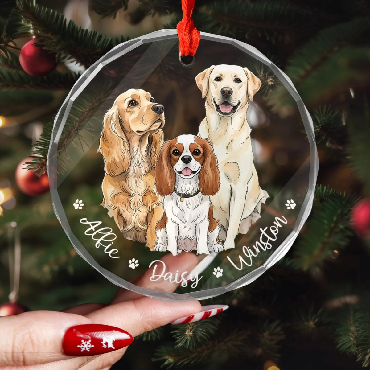 Home Is Where The Paws Are mk 3