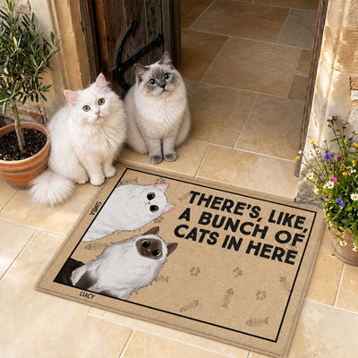 There's Like A Bunch Of Cats In Here- Personalized Doormat, Gift For Cat Lovers , Cat Mom Home Decor